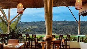 Un espacio al aire libre con mesas y sillas de madera, un tapete tejido y una planta de cactus.