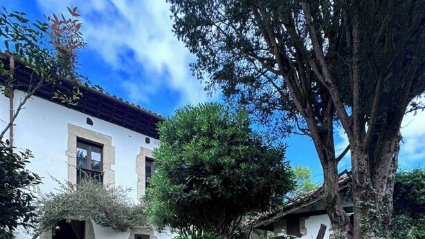 A stone pathway leading to a white building with a tiled roof, surrounded by lush greenery and trees.