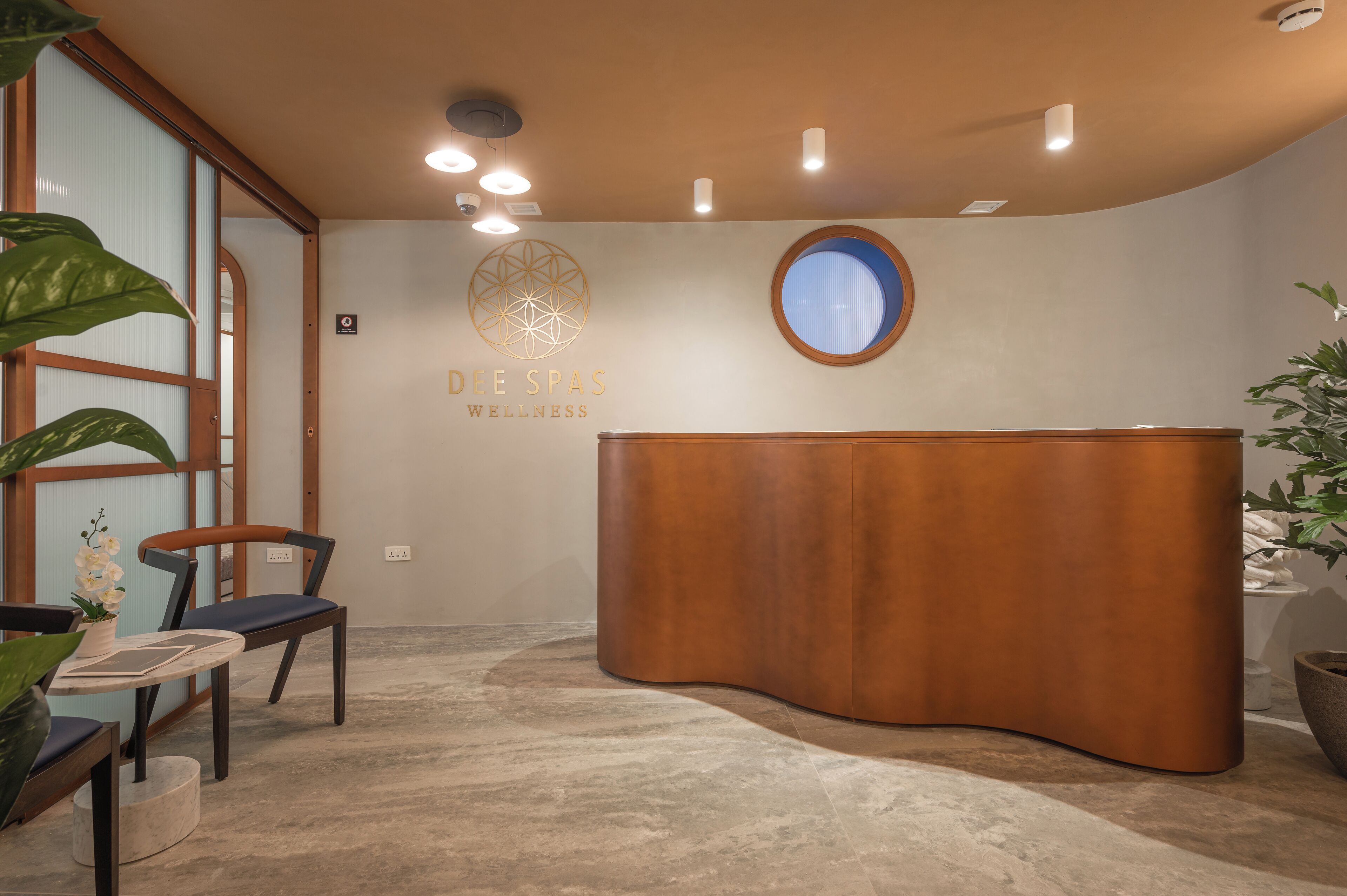 Un área de recepción con un mostrador de madera, una silla, una planta en maceta y el logotipo de Dee Spas Wellness montado en la pared.