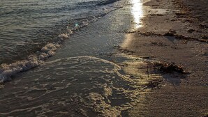 A beach with a pier extending into the water, a clear sky, and the sun setting or rising. - Beautiful Casa De Rose (Progreso)
