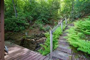 A wooden deck leading to a stone staircase surrounded by lush greenery and ferns.