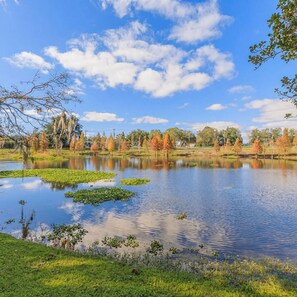 A serene lake with reflections, surrounded by trees and grassy areas. - Stunning Home w/ Heated Saltwater Pool & Pond View + 12 Guests + Great Location (Temple Terrace)