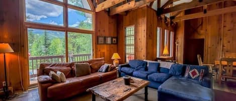 Smart TV, fireplace, DVD player, books