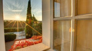 A window with a view of a garden, a tall tree, and a sunset.