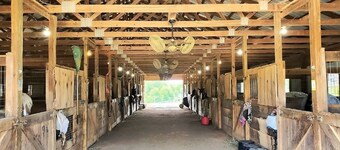 Briggs Brothers Ranch & Resort