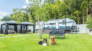 Enceinte de l’hébergement