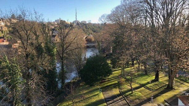 A riverside park with pathways, trees, and a distant view of buildings.