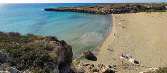 Design villa amidst ancient olive trees