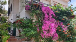 Un edificio con una escalera de piedra que conduce a una puerta, rodeado de abundante follaje y plantas en flor.
