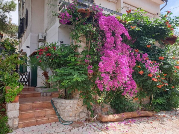 A building with a stone staircase leading to a door, surrounded by lush greenery and flowering plants.
