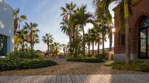 Property grounds - Casa Del Arte - a modern desert oasis ft. in Vogue (Todos Santos)