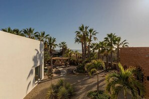 Property grounds - Casa Del Arte - a modern desert oasis ft. in Vogue (Todos Santos)