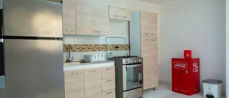 Fridge, blender, cookware/dishes/utensils, spices