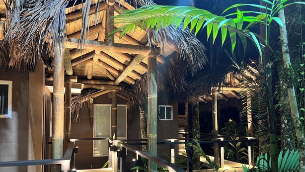 Construção com telhado de palha e uma escadaria de madeira que leva a uma porta, cercada por plantas tropicais.