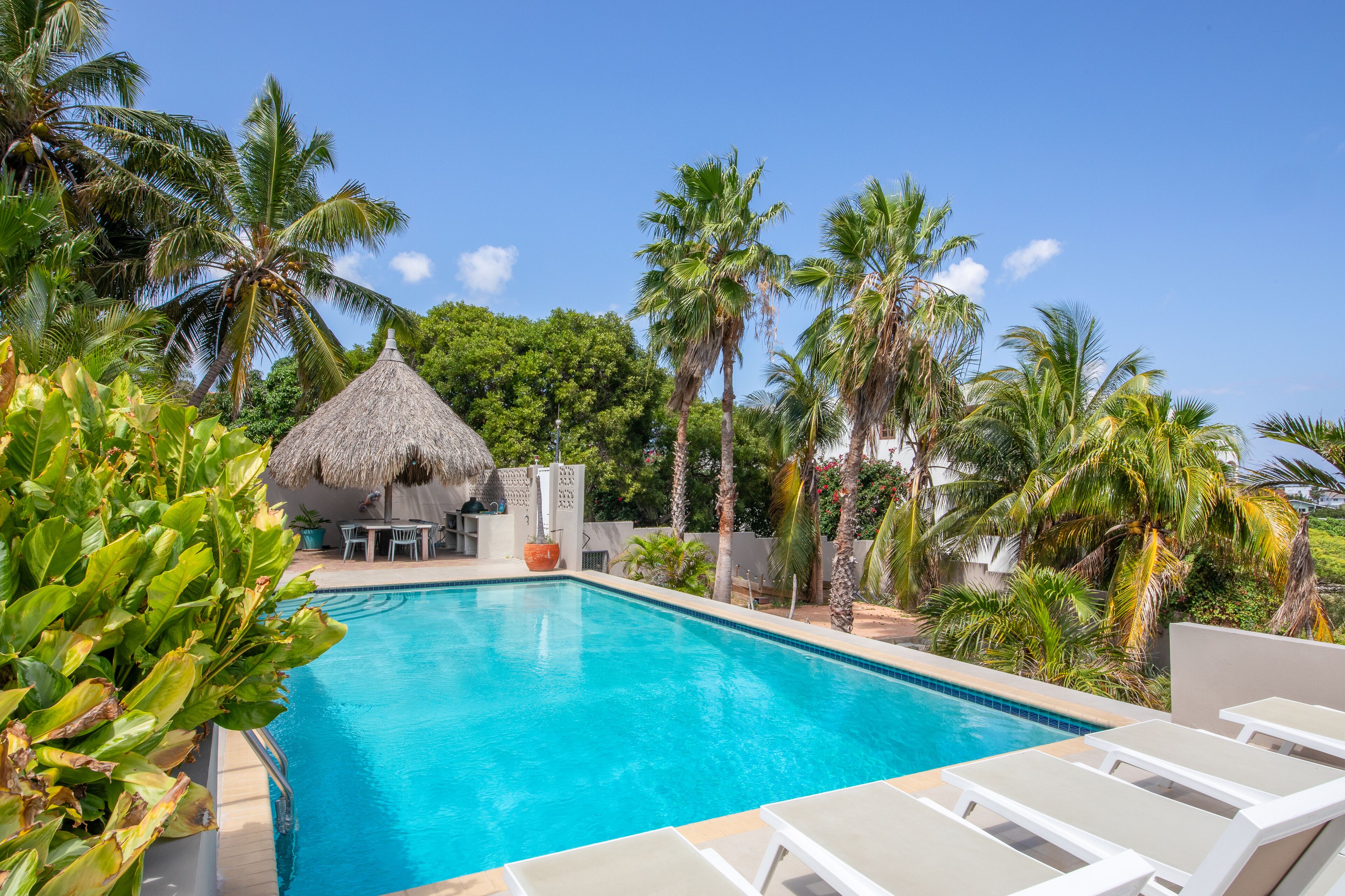 A swimming pool with lounge chairs, surrounded by palm trees and a thatched-roof hut.