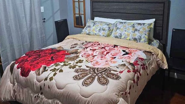 A bedroom with a bed, a window, a door, and a painting on the wall. - ROOM D 6 MINS EWR AIRPORT CLOSE TO NY (Newark)