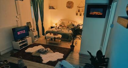 Maison Cocon Romantique Ă Mulhouse