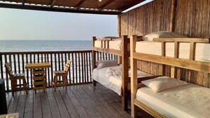 Economy Shared Dormitory