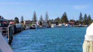 A marina with boats docked along a pier, surrounded by trees and buildings.