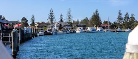 Un port de plaisance avec des bateaux amarrés le long d’une jetée, entouré d’arbres et de bâtiments.