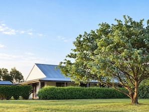 Una casa con techo inclinado, rodeada por un césped cuidado y un gran árbol.