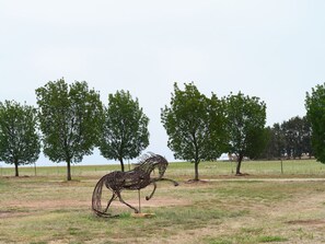 A sculpture of a horse in a field with trees in the background. - Shawwood Cellar Door Luxury Mudgee Farm Stay, close to town and wineries (Bombira)
