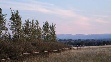 A natural landscape with a fence, trees, and distant hills.