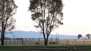 A rural landscape with a metal fence, trees, and a grassy field.