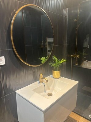 Secador de pelo, toallas y papel higiénico