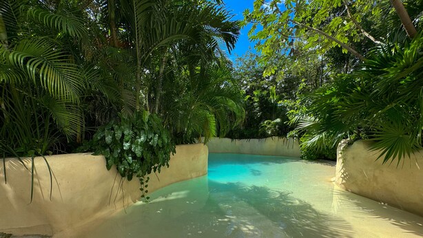 A clear pool surrounded by lush greenery and a concrete wall. - Luxury Studio-private individual pool (Tulum)
