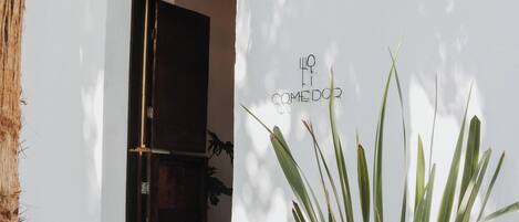 Una planta en maceta frente a una pared blanca con una puerta de madera y escalones que llevan a una habitación.