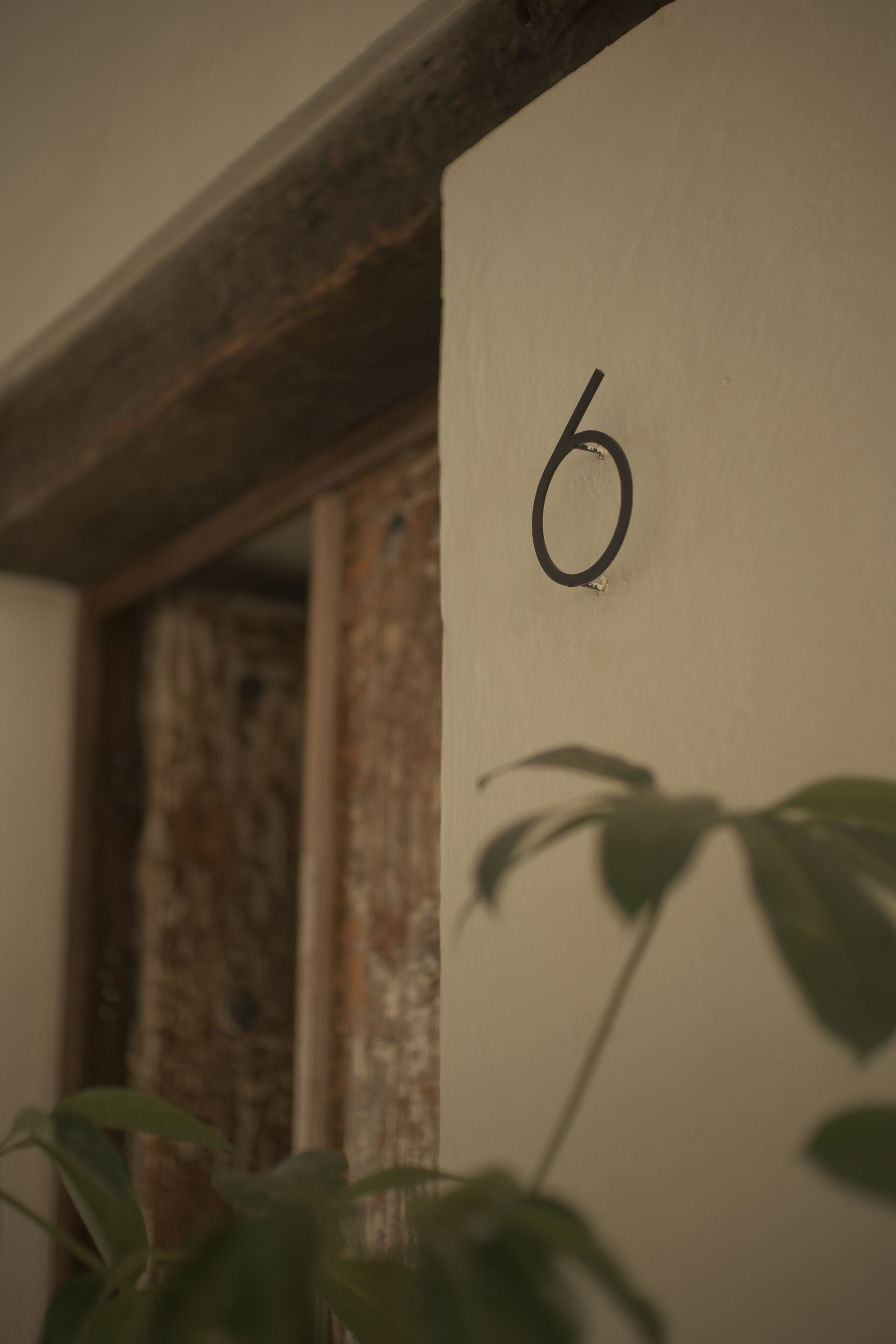 Une pièce dont le mur porte le numéro « 6 », avec une poutre en bois au-dessus et une plante au premier plan.