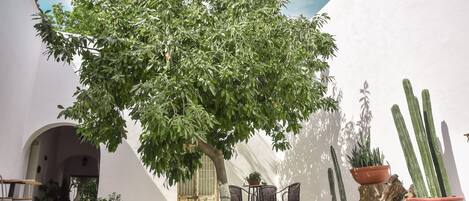 Double Room | Terrace/patio