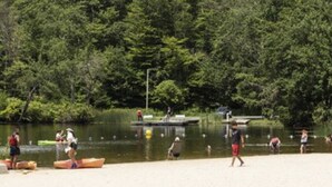 A lakeside scene with people engaging in water activities, a dock, and a forested area in the background.