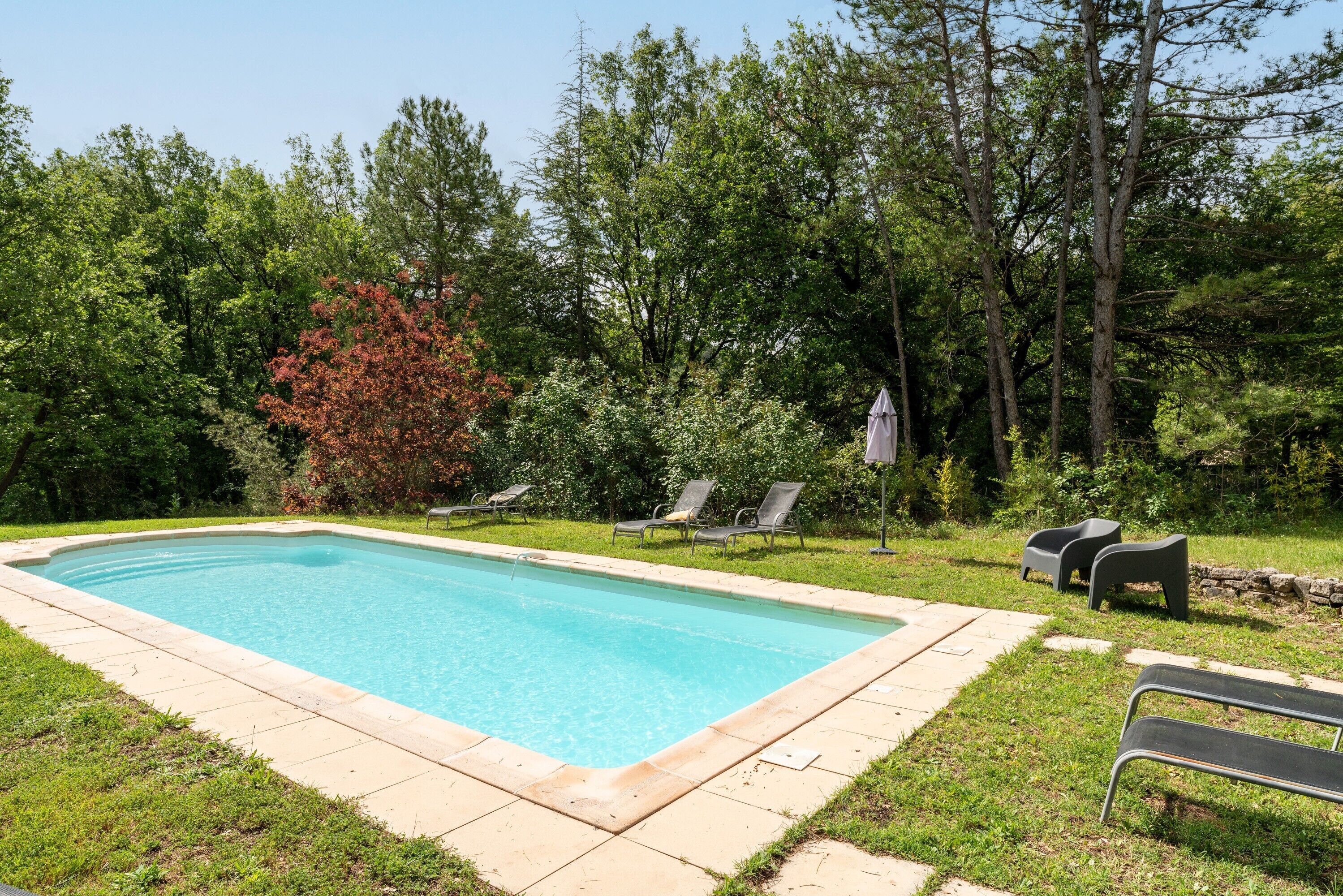 Ein rechteckiger Swimmingpool mit einer gefliesten Kante, umgeben von Gras und Bäumen.