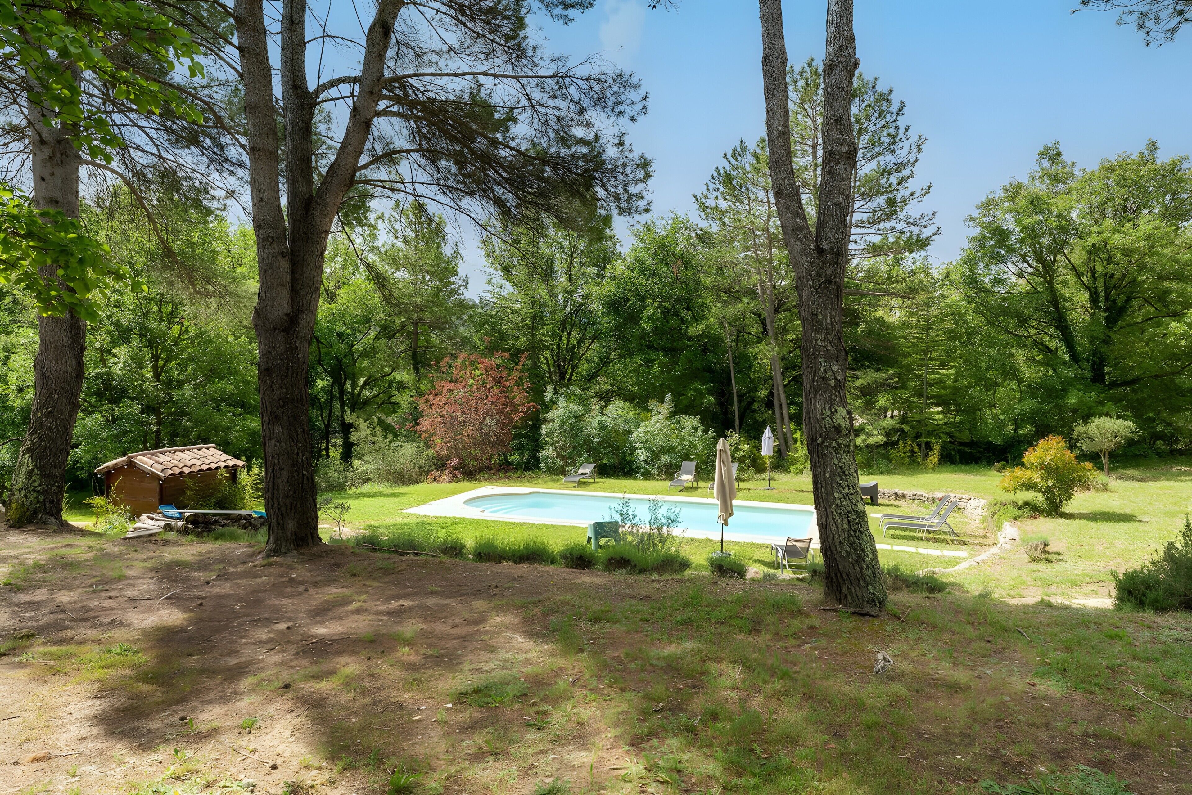 Un cadre extérieur naturel agrémenté d’une piscine, de chaises longues et d’une petite structure en bois.