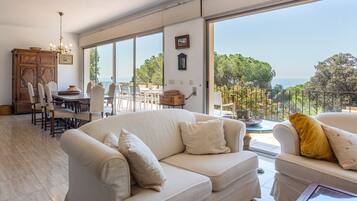 TV, fireplace, DVD player