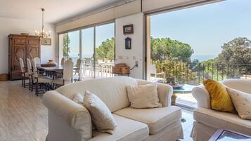 TV, fireplace, DVD player