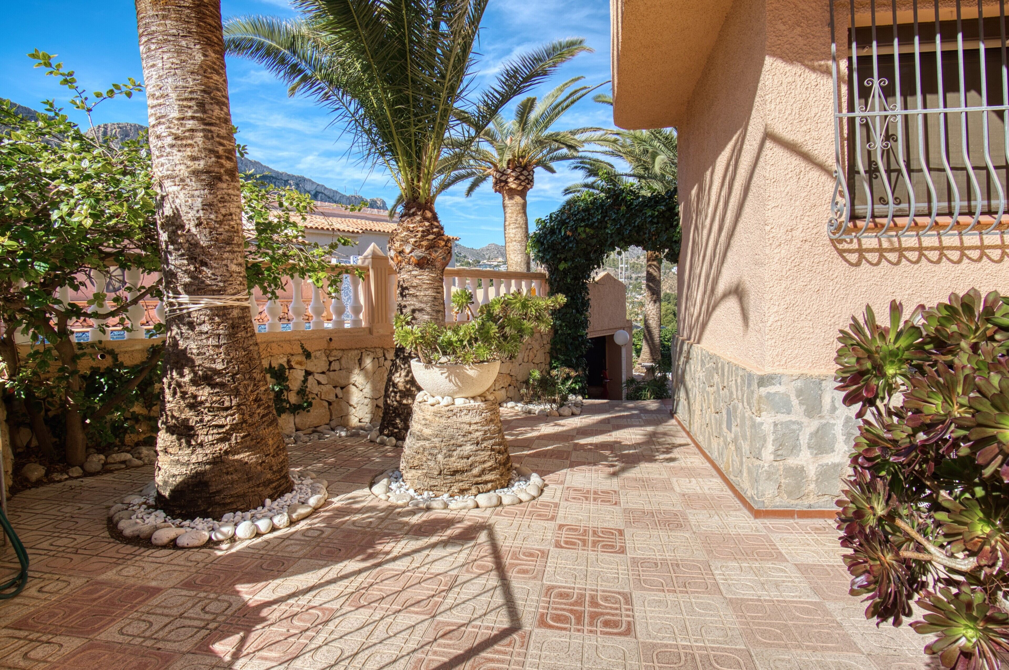 A courtyard with palm trees, a stone wall, and a tiled floor.