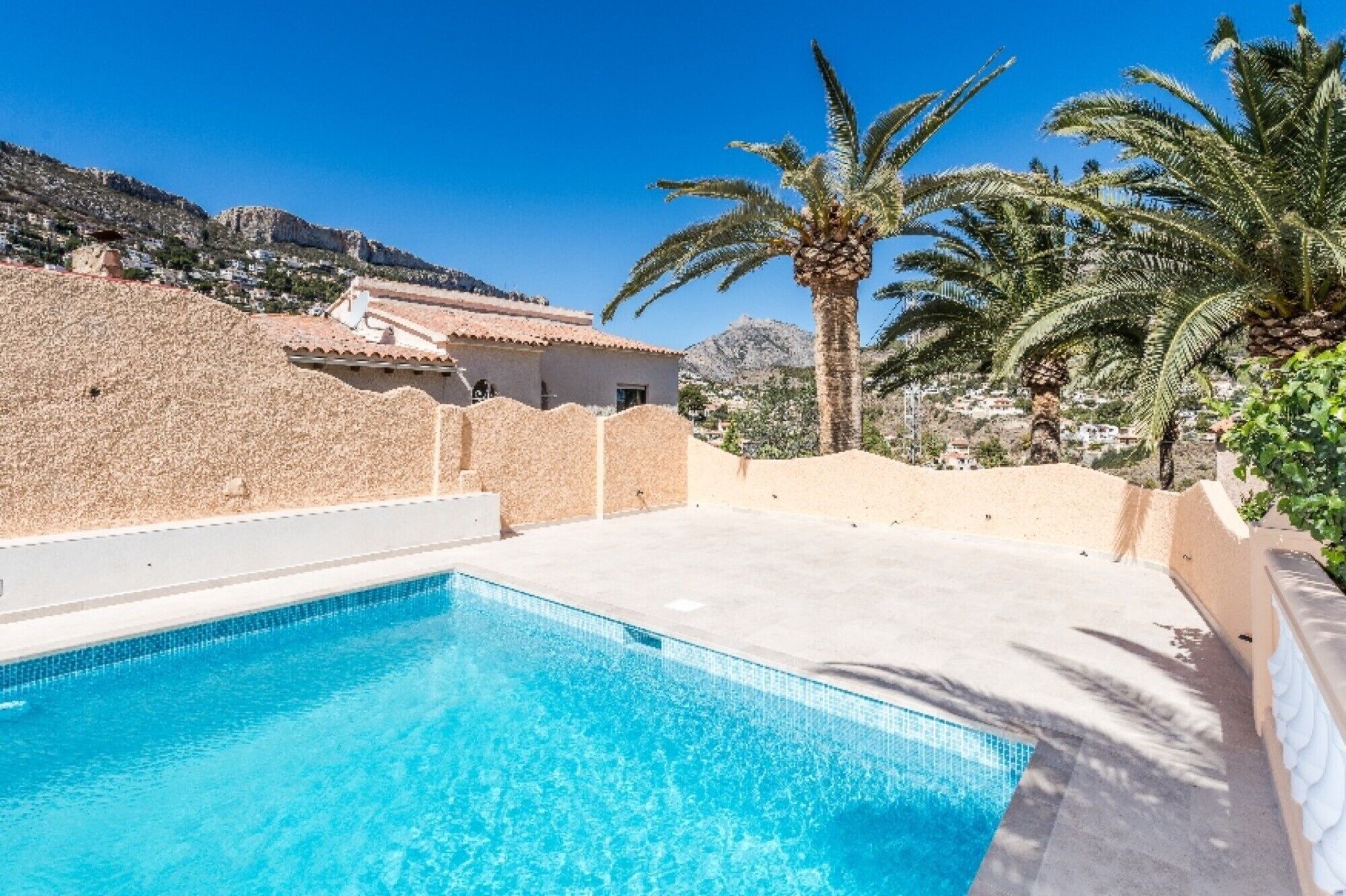 A swimming pool with clear blue water, surrounded by a low wall and palm trees.