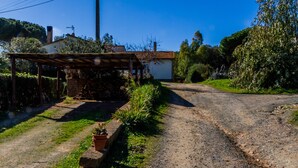 Un camino rural que lleva a una casa con una pérgola de madera y plantas en macetas.