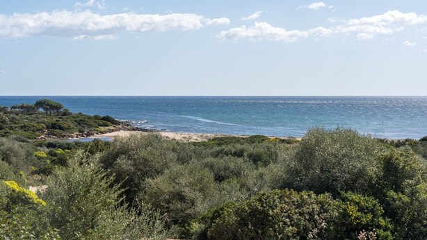 A coastal landscape with dense vegetation, a beach, and the sea. - Holiday Home 'Villa Maria' with Private Terrace and Private Garden (Orosei)
