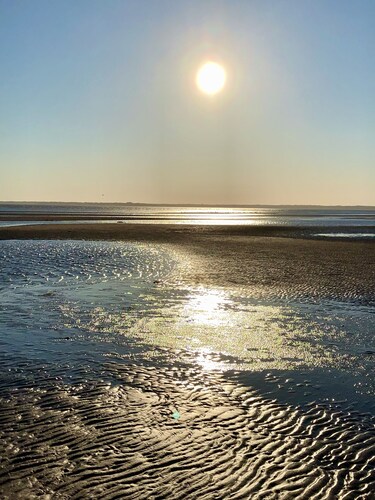 Ginger's Folly - Beautiful Oceanfront Family Size Beach House, 3 bedroom, 2 bath