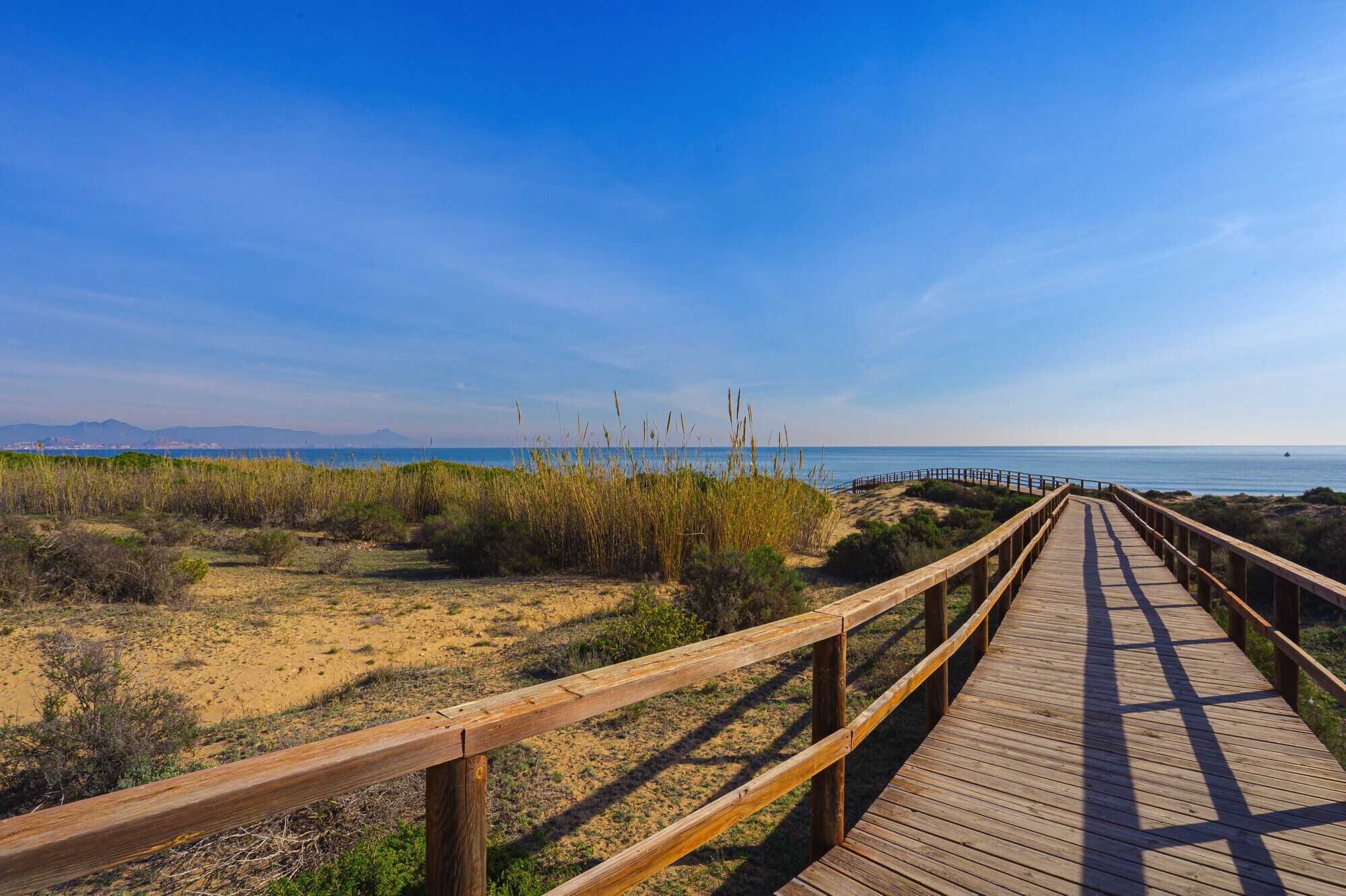 Ein hölzerner Steg führt zu einem Strand unter blauem Himmel.