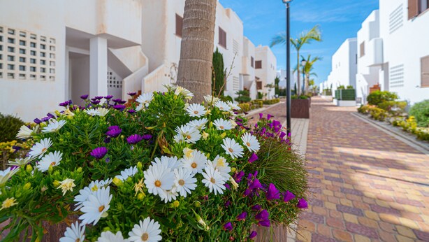 Un sendero bordeado de flores blancas y moradas, palmeras y edificios blancos con balcones.
