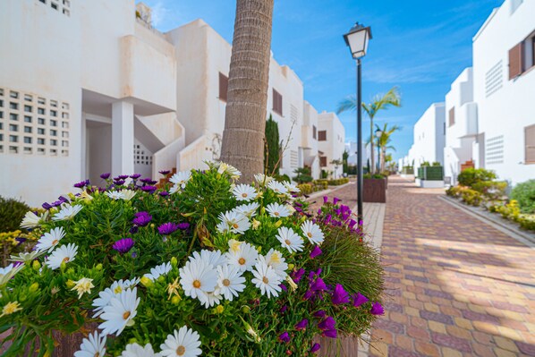 Property grounds - Apartamento Orquidea (Mar de Pulpi) (San Juan de los terreros)