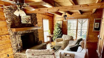 Smart TV, caminetto, lettore DVD, tavolo da ping pong