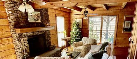 TV connectée, cheminée, lecteur de DVD, table de tennis de table