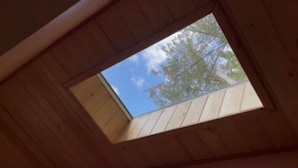 Un tragaluz en una habitación de madera con vista despejada a árboles.