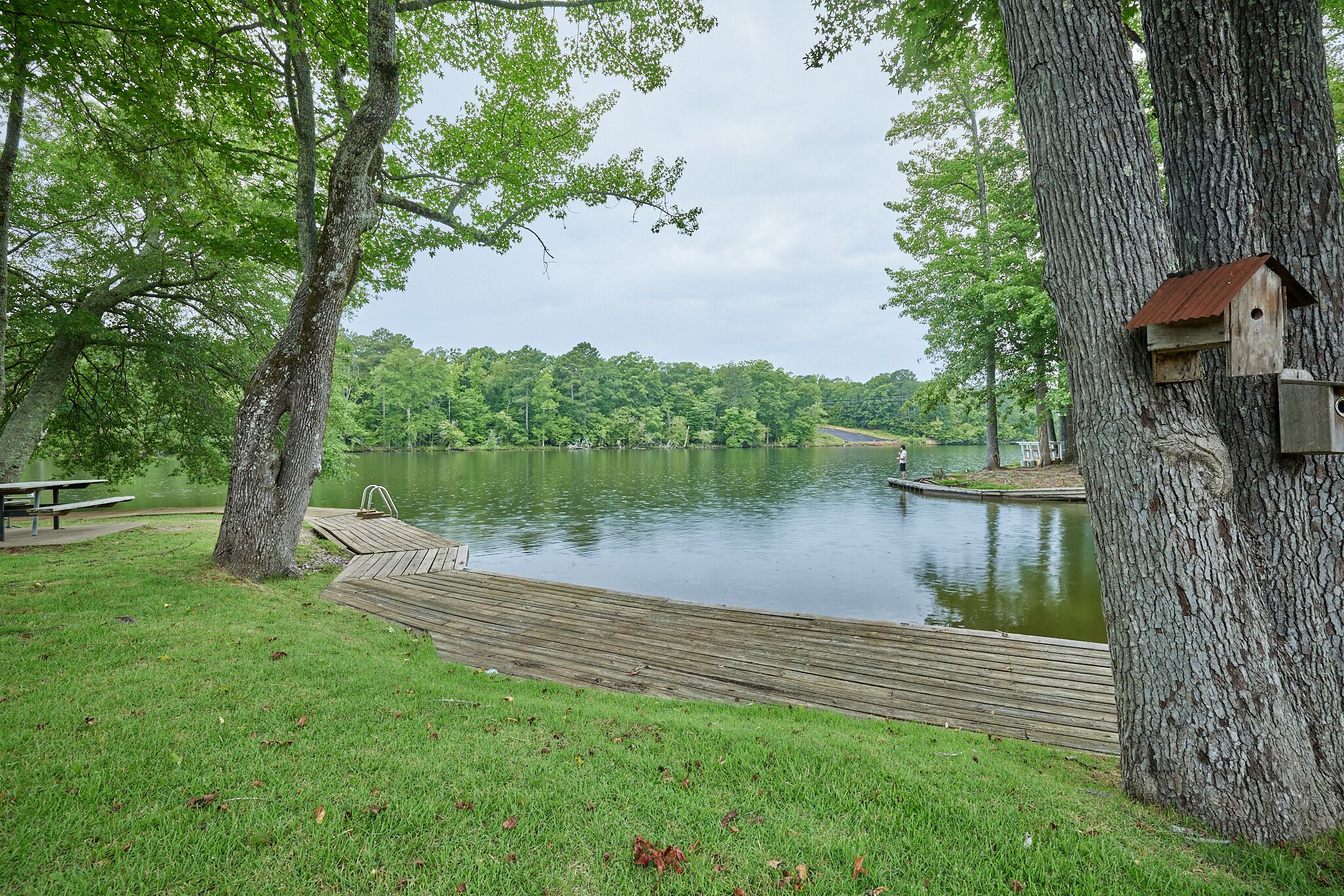A lakeside park with a wooden dock, a birdhouse, and a picnic table.